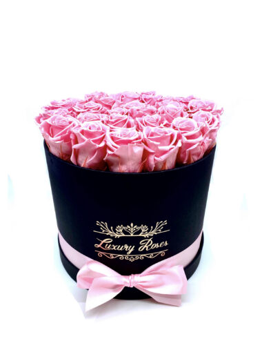 XL KARBIS UINUVAD ROOSID – BABY PINK II