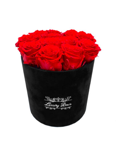 БАРХАТНАЯ КОРОБКА СПЯЩИЕ РОЗЫ — LUXURY RED II