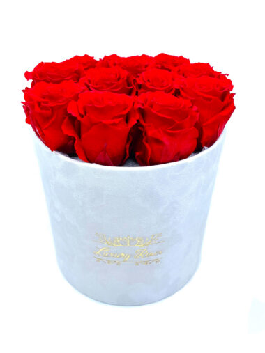 БАРХАТНАЯ КОРОБКА  СПЯЩИЕ РОЗЫ — LUXURY RED