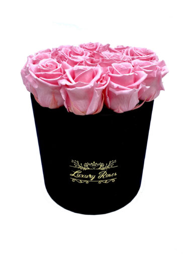 SAMETKARBIS UINUVAD ROOSID – BABY PINK II