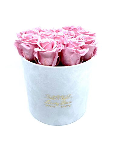 SAMETKARBIS UINUVAD ROOSID – BABY PINK