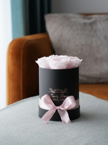 S KARBIS UINUVAD ROOSID – BABY PINK II