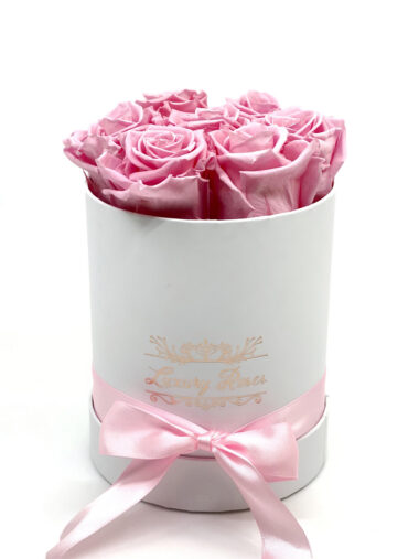 S СПЯЩИЕ РОЗЫ - BABY PINK