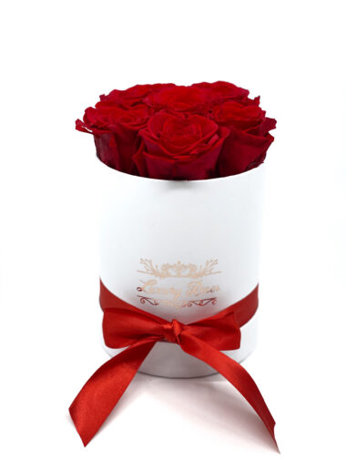 S СПЯЩИЕ РОЗЫ - LUXURY RED