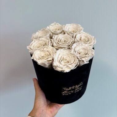 SAMETKARBIS UINUVAD ROOSID – WHITE II