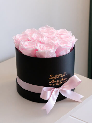 L KARBIS UINUVAD ROOSID - BABY PINK II