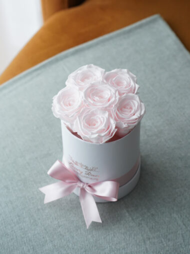 S KARBIS UINUVAD ROOSID – BABY PINK