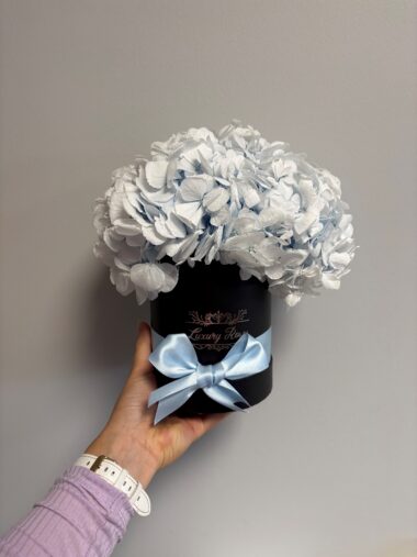 S KARBIS KAUASÄILIV HORTENSIA