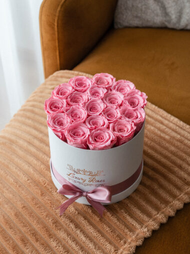 XL KARBIS UINUVAD ROOSID – ROSE